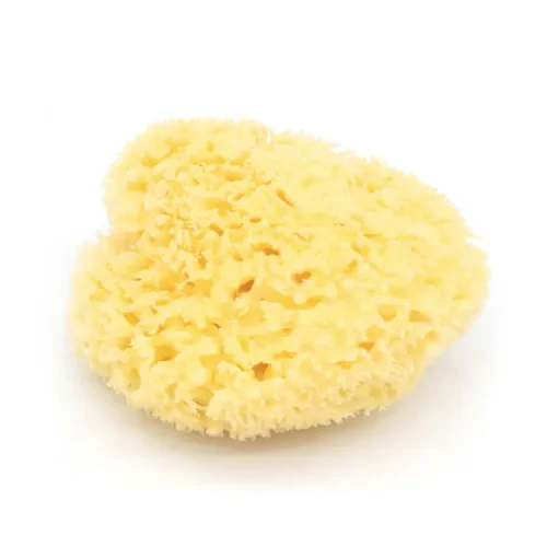 3"~5" Natural sea sponge for face wash and bathing