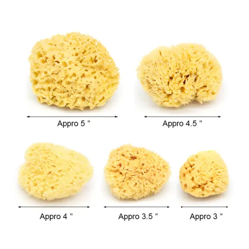 3"~5" Natural sea sponge for face wash and bathing