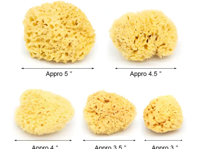 3"~5" Natural sea sponge for face wash and bathing