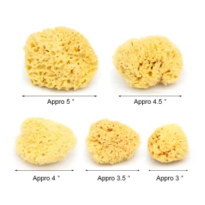 3"~5" Natural sea sponge for face wash and bathing